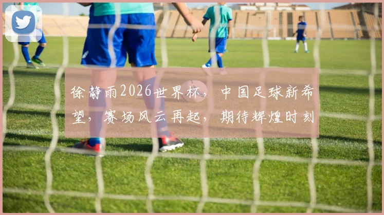 徐静雨2026世界杯，中国足球新希望，赛场风云再起，期待辉煌时刻