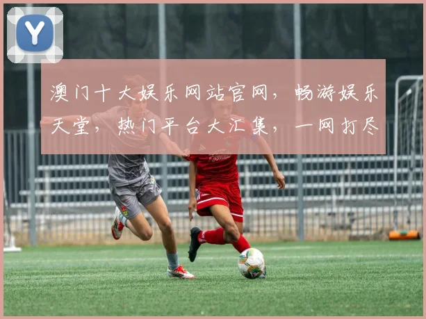 澳门十大娱乐网站官网，畅游娱乐天堂，热门平台大汇集，一网打尽
