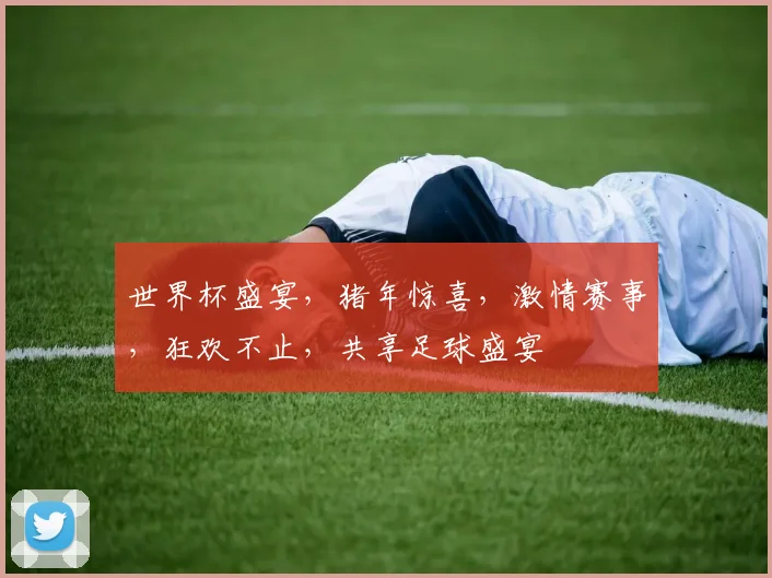 世界杯盛宴，猪年惊喜，激情赛事，狂欢不止，共享足球盛宴