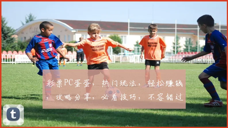 彩票PC蛋蛋，热门玩法，轻松赚钱，攻略分享，必看技巧，不容错过