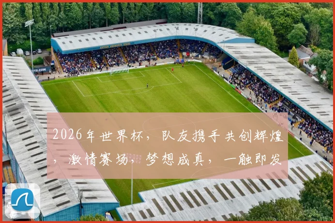 2026年世界杯，队友携手共创辉煌，激情赛场，梦想成真，一触即发