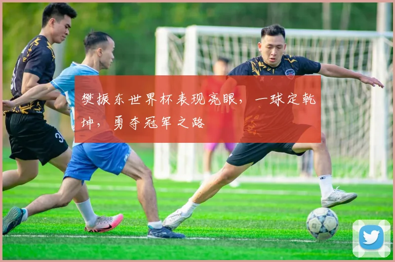 樊振东世界杯表现亮眼，一球定乾坤，勇夺冠军之路